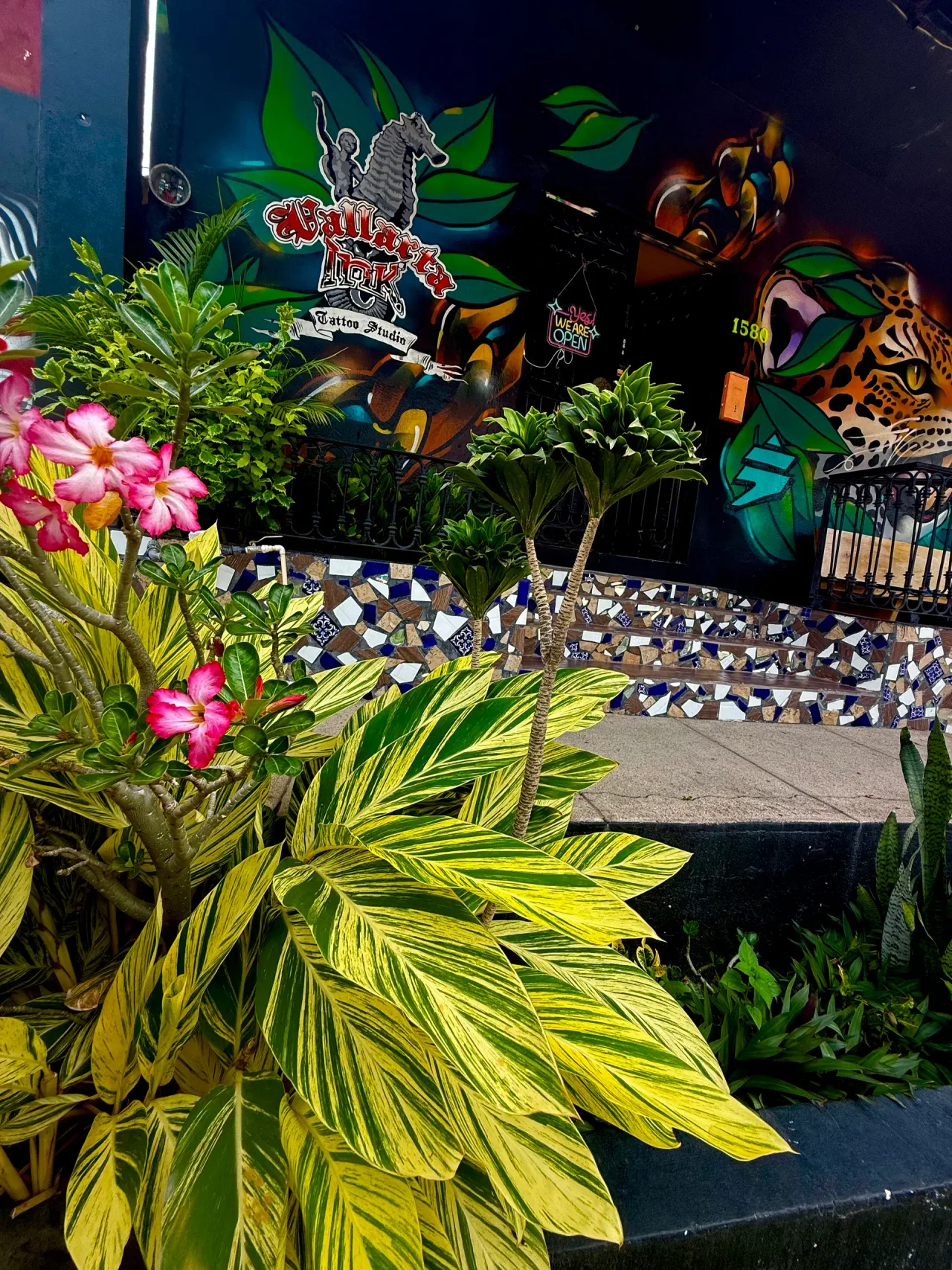 Dentro de Vallarta Ink, un estudio de tatuajes en Puerto Vallarta